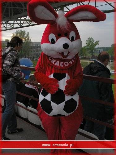 Sektor Rodzinny Cracovia-Wisla Plock
